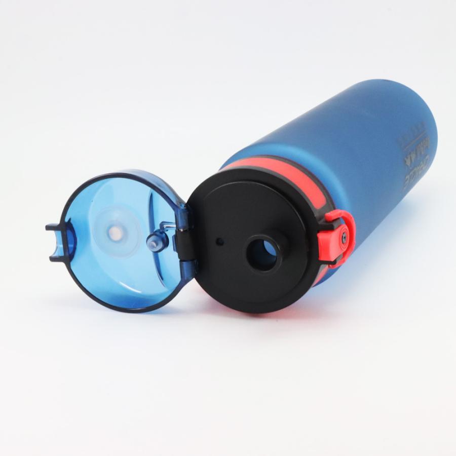Red Bull Racing F1 Water Bottle